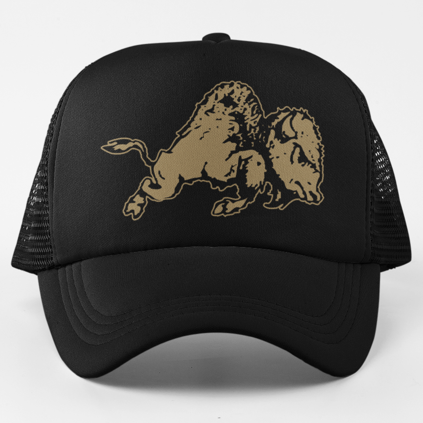 New Colorado Buffaloes 1948 Throwback Foam Trucker Snapback Hat Black